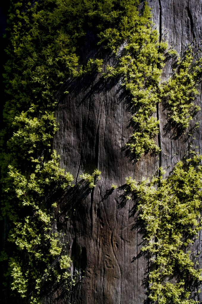 nate-bell-M1gaxG1UN1E-unsplash
